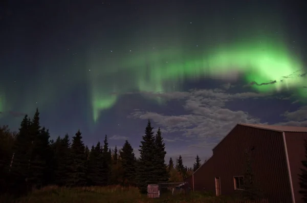 米国アラスカ州のヒーリーの木や建物の上の畏敬の念を起こさせる極の光 — ストック写真