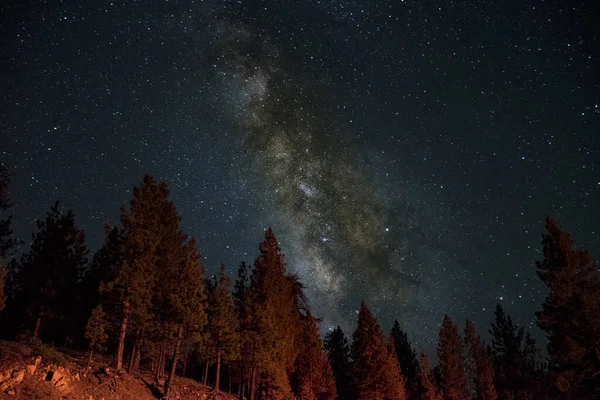 Uma Bela Vista Das Silhuetas Abetos Com Fundo Céu Forma — Fotografia de Stock