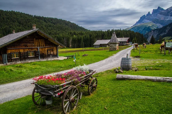 Decorative Wooden Cart Flowers Countryside Valais Switzerland — Stock Fotó
