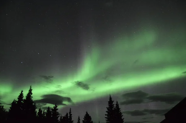 Εκπληκτικά Πολικά Φώτα Πάνω Από Δέντρα Του Χίλι Στην Αλάσκα — Φωτογραφία Αρχείου