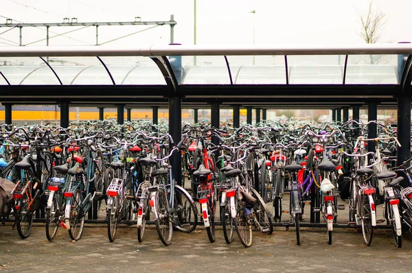 Maastricht Netherlands Feb 2015 Large Amount Parked Locked Bicycles Close — Stock Photo, Image