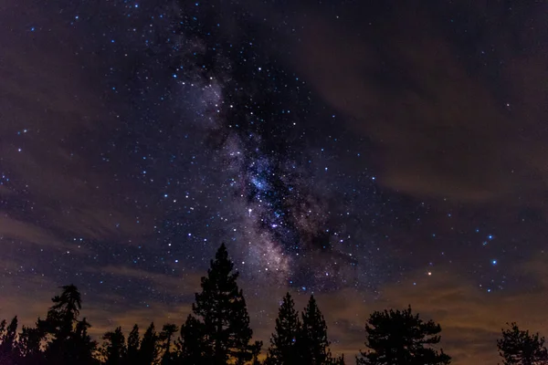 Een Prachtig Uitzicht Silhouetten Van Dennenbomen Met Sterrenhemel Achtergrond — Stockfoto