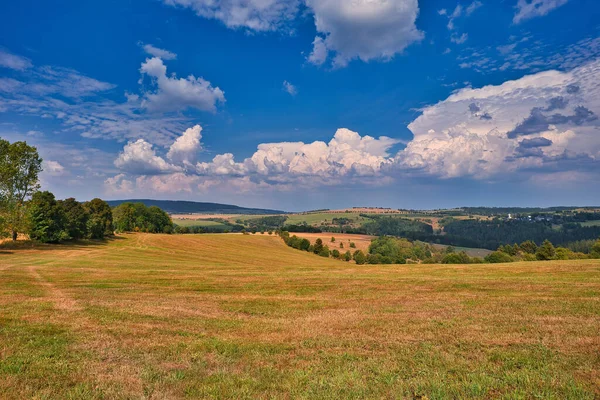 Krásný Zlatý Trávník Krajina Pole Pozadí Modré Oblohy — Stock fotografie