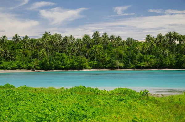 来自大洋洲萨摩亚的田园诗般的萨瓦伊岛的平静的太平洋 — 图库照片