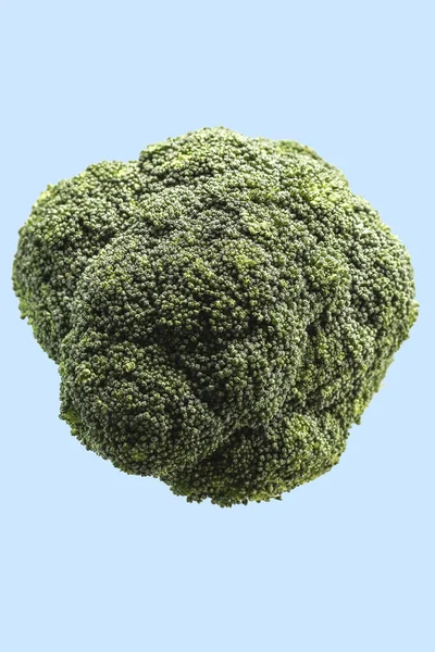 Closeup Fresh Green Broccoli Blue Background — Stock Photo, Image