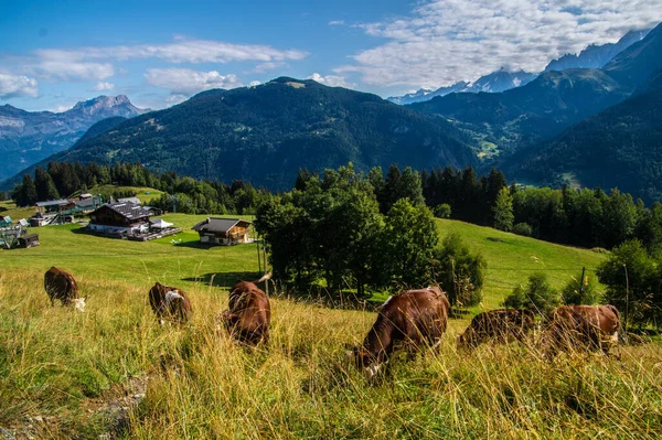 Uma Paisagem Cênica Saint Nicolas Verosce Haute Savoie França — Fotografia de Stock