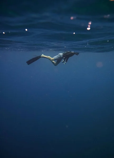 Pionowy Widok Freedivera Pływającego Czystych Wodach Morza Czerwonego Egipt — Zdjęcie stockowe