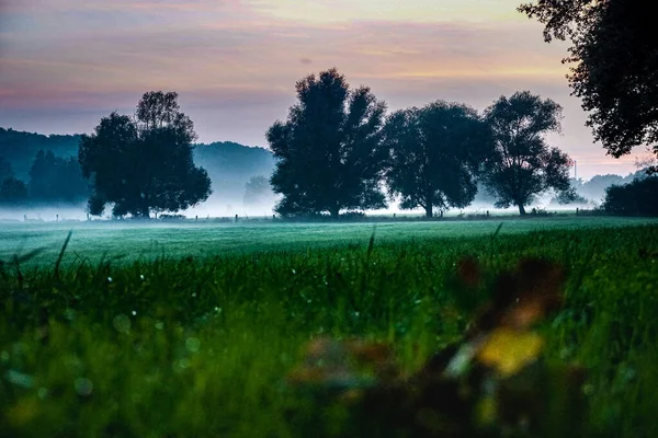 Ett Fält Med Träd Vacker Grumlig Solnedgång — Stockfoto