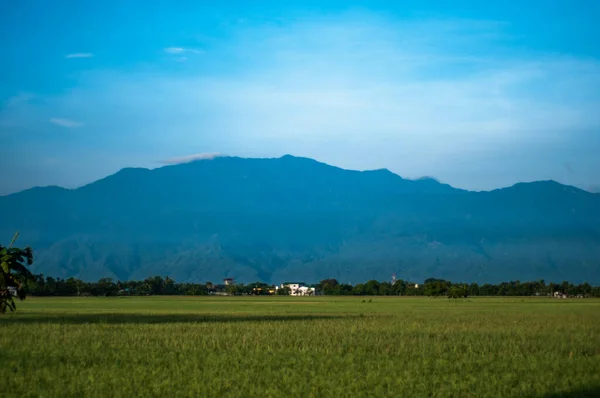 环绕着蒙台山的绿意盎然的景色 — 图库照片