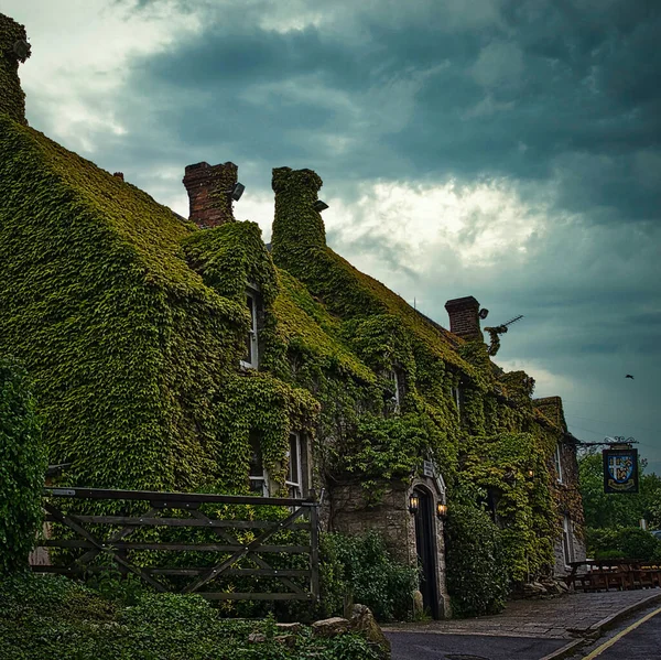 Een Oud Huis Begroeid Met Groene Planten — Stockfoto