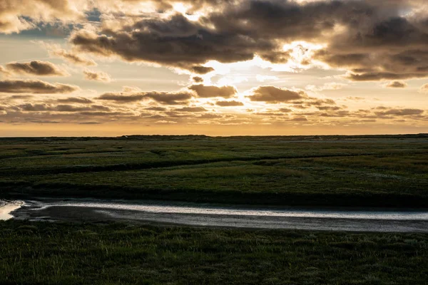 Scenic View Wide Meadow Bright Sunset Background — Stockfoto