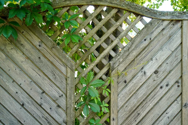 Zbliżenie Drewnianego Ogrodzenia Ozdobionego Zielonymi Liśćmi Rośliny — Zdjęcie stockowe