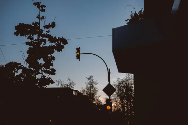 夕暮れ時の街中の信号機のシルエット — ストック写真