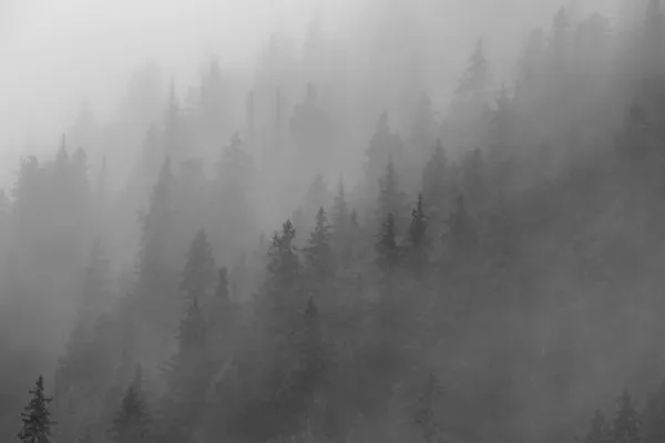 Landscape Silhouettes Trees Mountainous Slope Fog — Stock Photo, Image