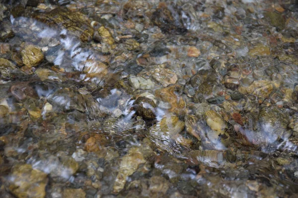 Stream Water Forest Park — Stockfoto