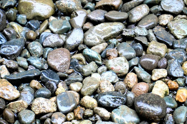 Tiro Close Pedras Seixos Molhados Uma Praia — Fotografia de Stock
