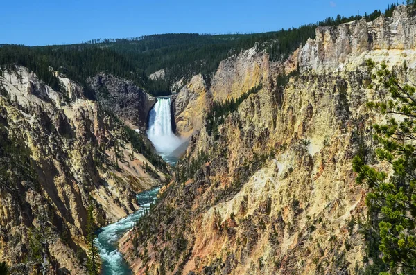 Lower Falls Yellowstone National Park Area Ricreativa Nel Wyoming Stati — Foto Stock