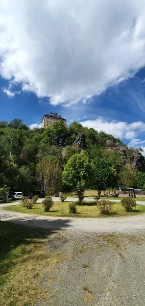 Une Belle Vue Sur Les Décorations Arbres Dans Parc Face — Photo