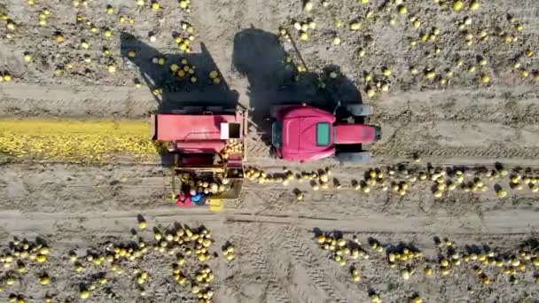 Traktor Pracuje Silnici — Stock video
