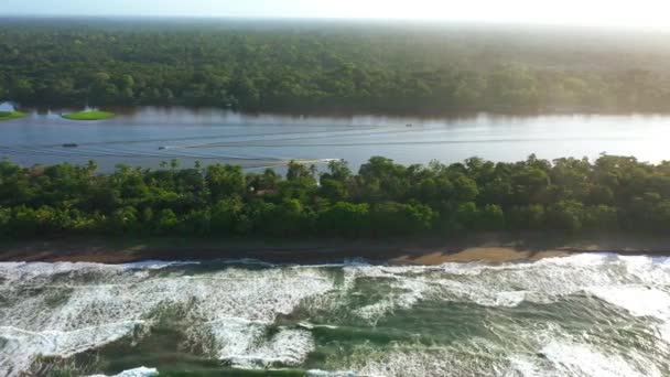 Hermosa Vista Del Río Bosque — Vídeos de Stock