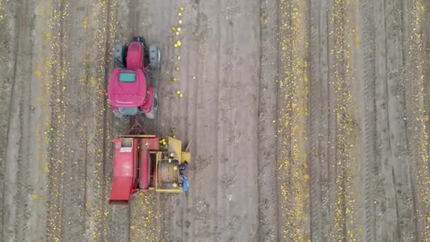 Pequeño Tractor Rojo Amarillo Parque — Vídeos de Stock