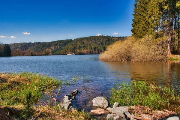 Bellissimo Paesaggio Lago Pietre Erba Uno Sfondo Colline Alberi — Foto Stock