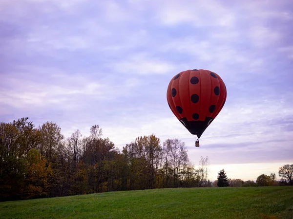Czerwony Czarny Balon Gorącego Powietrza Startujący Polu Pobliżu Jesiennych Drzew — Zdjęcie stockowe