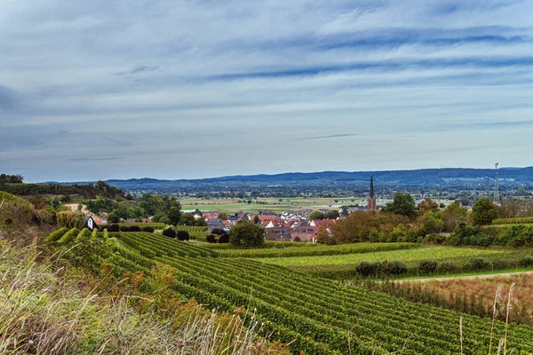 Blå Molnig Himmel Över Gröna Fälten Och Eichstetten Kyrkan Kaiserstuhl — Stockfoto