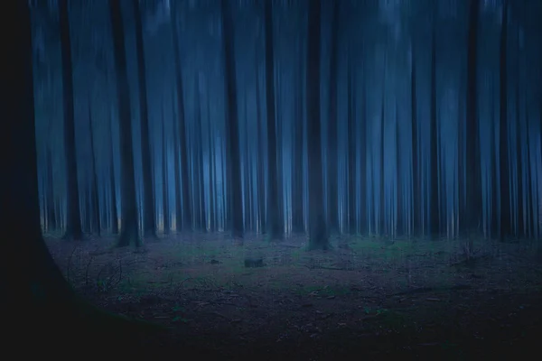 Uno Sparo Una Mistica Foresta Conifere Scure Con Effetto Sfocato — Foto Stock