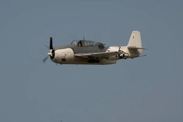 Hava Gösterisi Sırasında Kasvetli Bir Gökyüzüne Uçan Bir Uçak — Stok fotoğraf