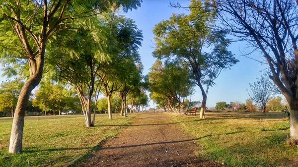 Een Natuurlijk Uitzicht Landweg Met Herfstbomen Aan Beide Kanten — Stockfoto