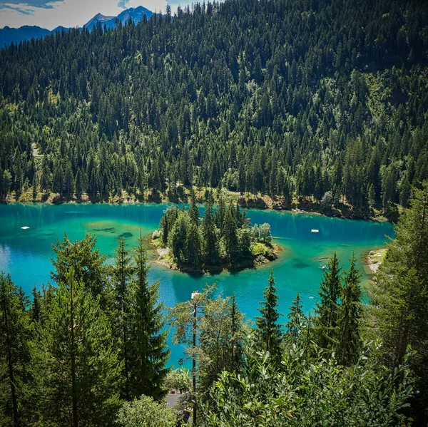 Чудовий Краєвид Озера Каумасі Оточений Лісистими Горами Швейцарії — стокове фото