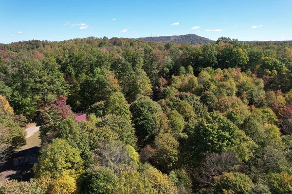 Μια Όμορφη Φωτογραφία Ενός Δάσους Φθινόπωρο Στη Δυτική Βιρτζίνια — Φωτογραφία Αρχείου