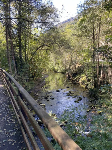 Egy Gyönyörű Kép Egy Természetes Parkról Hegyekkel Fákkal Egy Híddal — Stock Fotó