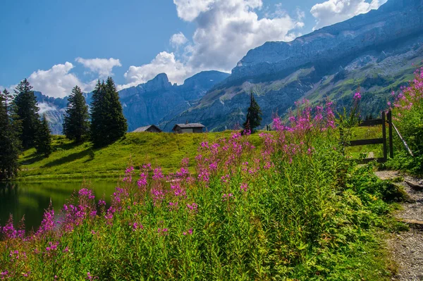 Uma Bela Vista Les Diablerets Lago Retaud Valais Suíça — Fotografia de Stock