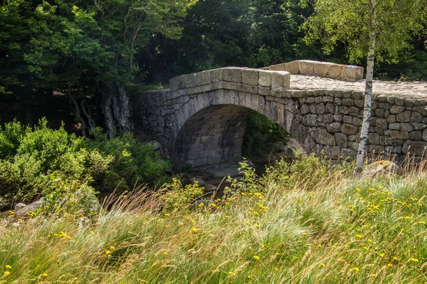 Egy Régi Kőhíd Francia Cevennes Nemzeti Parkban — Stock Fotó