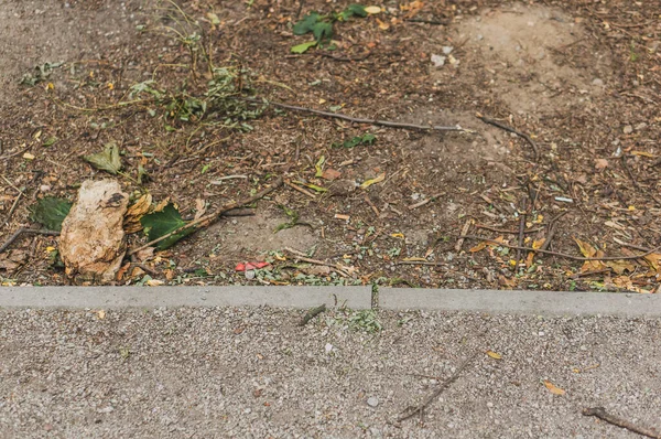 Высокоугольный Снимок Края Тропинки — стоковое фото