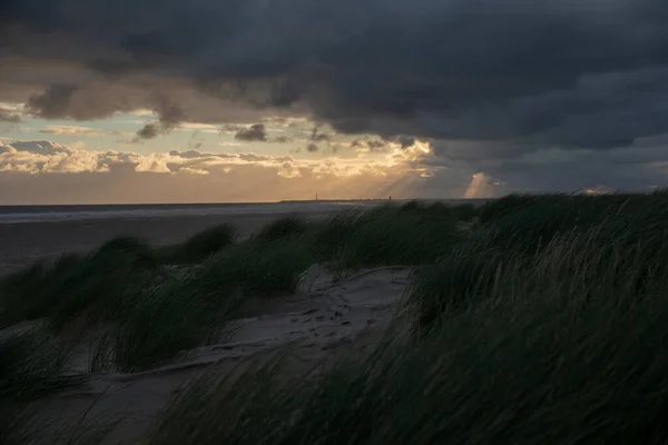 Мальовничий Вид Піщаний Пляж Фоні Заходу Сонця Неба — стокове фото