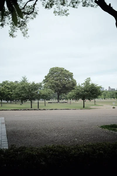 Vertikale Aufnahme Eines Leeren Parks Unter Wolkenverhangenem Himmel — Stockfoto