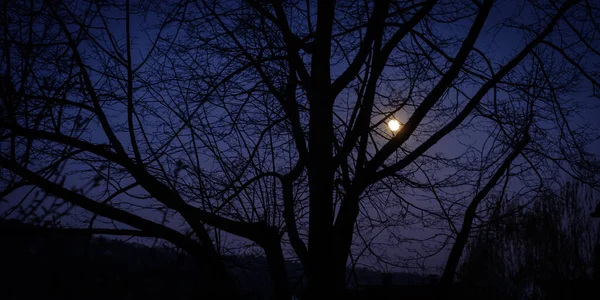 美丽的月亮在夜空中闪闪发光 — 图库照片