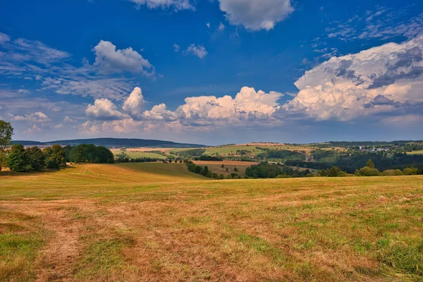 Belo Campo Paisagem Gramado Dourado Fundo Céu Azul — Fotografia de Stock