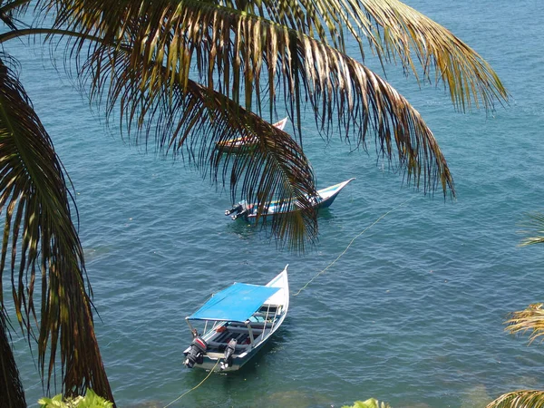 High Angle Shot Three Small Boats Sunny Shore Palms — Stock Fotó