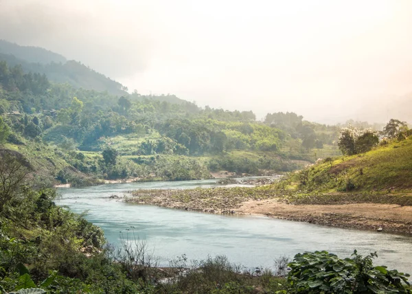 Scenic View River Forest Surrounded Lush Nature — Zdjęcie stockowe