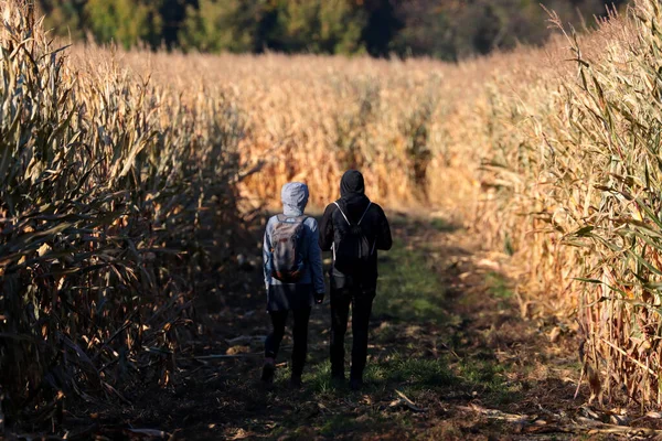 Ein Paar Geht Einem Feld Aus Trockenem Weizen — Stockfoto