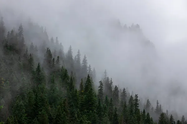 山の斜面に広がる霧の風景 — ストック写真