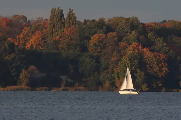 Beautiful View Sailboat Water Next High Green Trees — Stock Photo, Image