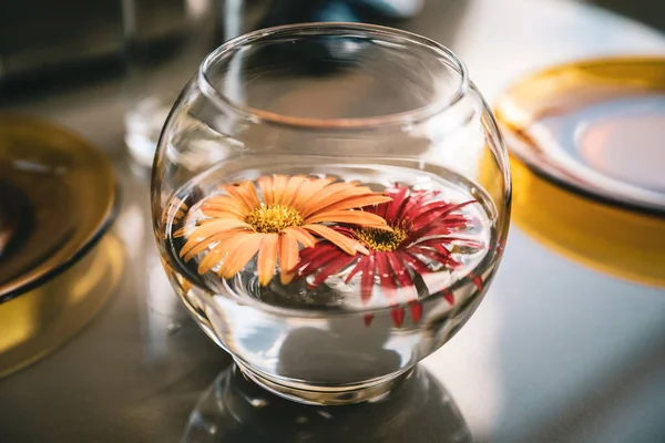 Gros Plan Belles Fleurs Dans Vase Verre — Photo