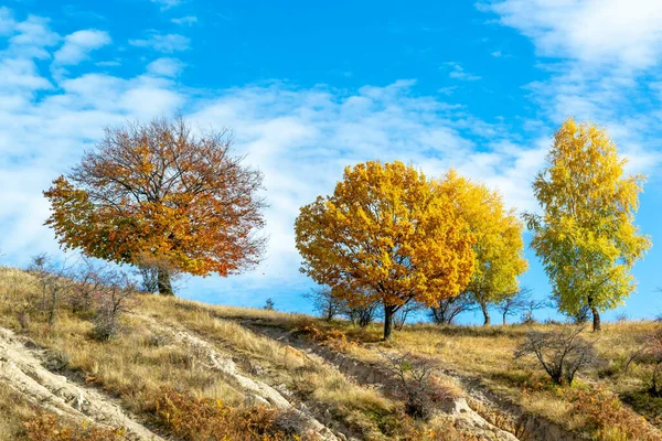 曇り空の下 秋の風景の美しいショット — ストック写真