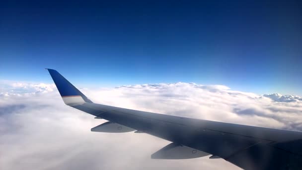 Bulutların Üzerinde Uçan Bir Uçağın Kanadı — Stok video