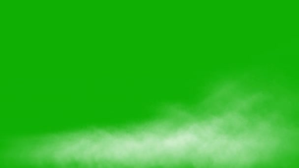 Astratto Sfondo Verde Brillante Succosa Bianco Giallo Blu Nero Turchese — Video Stock
